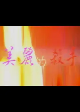 美丽的杀手 美麗的殺手 (1999)